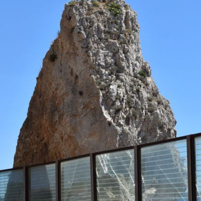 La Sentinella A Rischio Estinzione